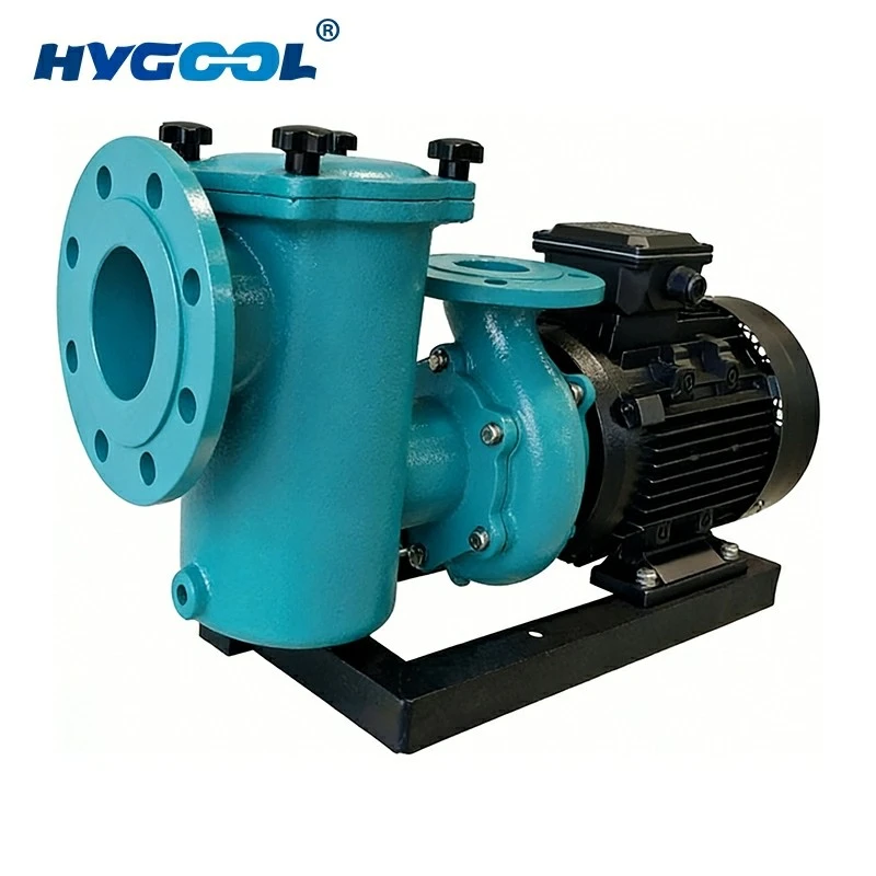 Swimming Pool Iron Pump suppliers